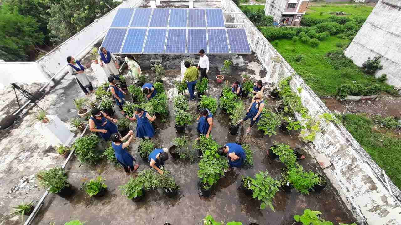 Surat : સુરતની આ સરકારી શાળાના ટેરેસ પર વિદ્યાર્થીઓએ શરૂ કરી સજીવ ખેતીની લેબોરેટરી