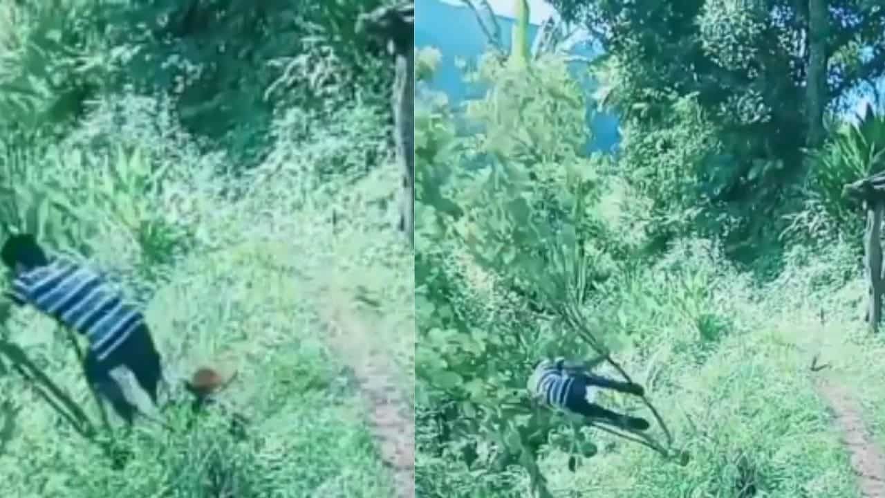 Funny Video : છોકરાએ મરઘીને પરેશાન કરી તો, પક્ષીએ આ રીતે ભણાવ્યો પાઠ ! જુઓ મજેદાર Video