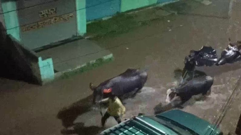 Maharashtra Rain : કોંકણ અને મરાઠવાડામાં ભારે વરસાદ બાદ પૂરની સ્થિતિ, IMD એ અનેક વિસ્તારોમાં જાહેર કર્યુ એલર્ટ