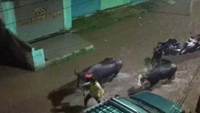 Maharashtra Rain : કોંકણ અને મરાઠવાડામાં ભારે વરસાદ બાદ પૂરની સ્થિતિ, IMD એ અનેક વિસ્તારોમાં જાહેર કર્યુ એલર્ટ