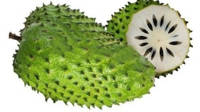 Health Tips : લક્ષ્મણ ફળ આપે છે કુદરતી કેમોથેરાપી, કેન્સરના કોષો સામે લડવા સક્ષમ