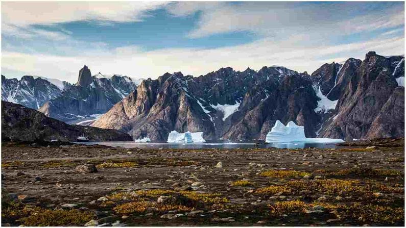 ગજબ હો બાકી! આ ટાપુ પર એક પણ કીડી નથી મળતી જોવા, કારણ છે ચોંકાવનારું