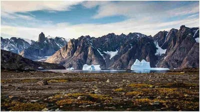 ગજબ હો બાકી! આ ટાપુ પર એક પણ કીડી નથી મળતી જોવા, કારણ છે ચોંકાવનારું