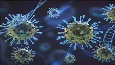 Corona : વધુ એક વેરિઅન્ટનો ખતરો, આ દેશમાં Mu Variantના કેસ આવતા WHOએ કહ્યું કે ડેલ્ટાથી પણ વધુ ખતરનાક