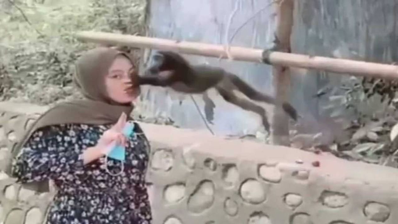Video : વાંદરા સાથે સેલ્ફી ક્લિક કરતી હતી આ યુવતી, પછી વાંદરાએ જે કર્યુ તે જોઈને તમે પણ દંગ રહી જશો !