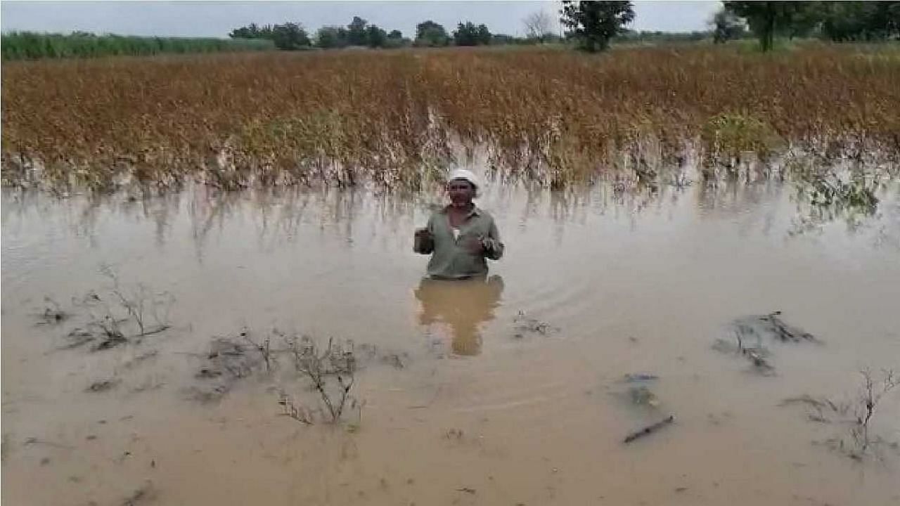 Maharashtra: વરસાદ અને પૂરે મચાવી તબાહી! 436 લોકોએ જીવ ગુમાવ્યા, ખેતી ધોવાઈ ગઈ