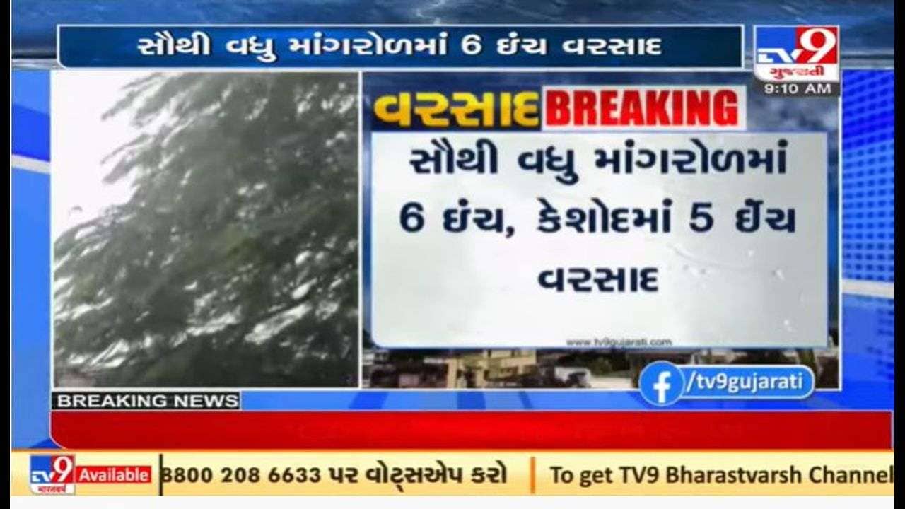 ગુજરાતમાં છેલ્લા 24 કલાકમાં 62 તાલુકામાં નોંધપાત્ર વરસાદ, ત્રણ દિવસ ભારે વરસાદની આગાહી
