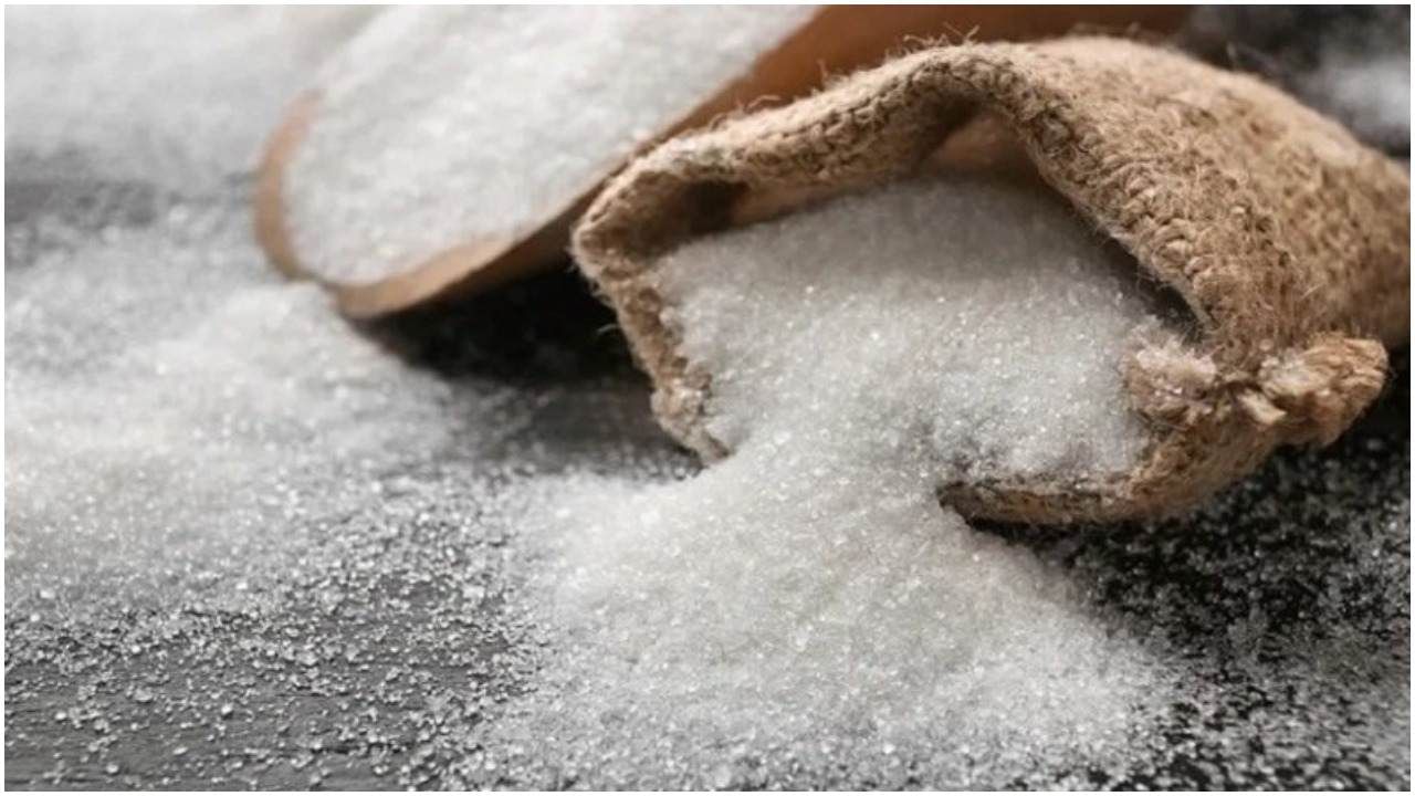 Sugar Export : ખાંડ એક્સપોર્ટ માટે સારા સમાચાર, આગામી સિઝનમાં 60 લાખ ટન ખાંડની નિકાસ થઇ શકે છે
