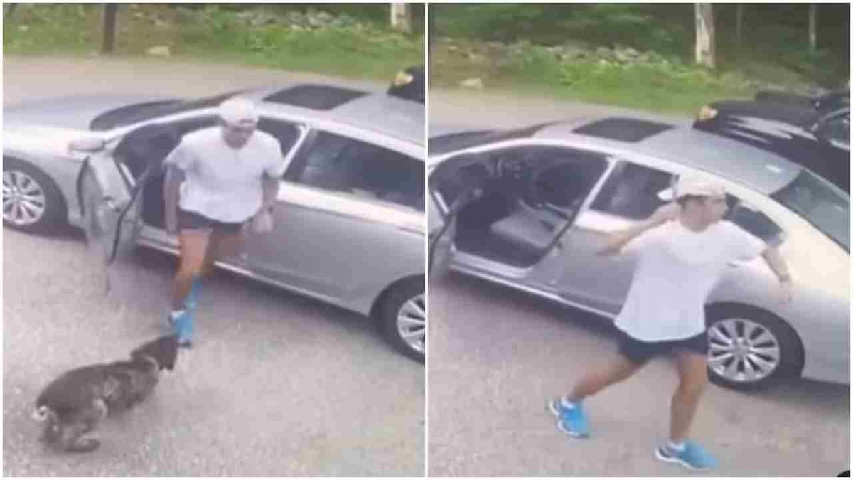 Video: યુવકે કુતરા સાથે કરી મજાક, બાદમાં કંઈક એવુ થયુ જે જોઈને તમે પણ કહેશો જૈસી કરની વૈસી ભરની