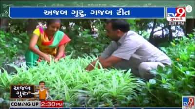 Teachers Day 2021: શિક્ષણને સમર્પિત શિક્ષક દંપતીએ પ્લાસ્ટિકની થેલીમાં રોપા વાવ્યા અને વિદ્યાર્થીઓને ભેટ આપ્યા