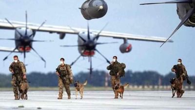 Service Dog: કઈ રીતે સેનાને મદદગાર બને છે સર્વિસ ડોગ, જાણો કઈ રીતે મોટી ઘટનાને ટાળે છે