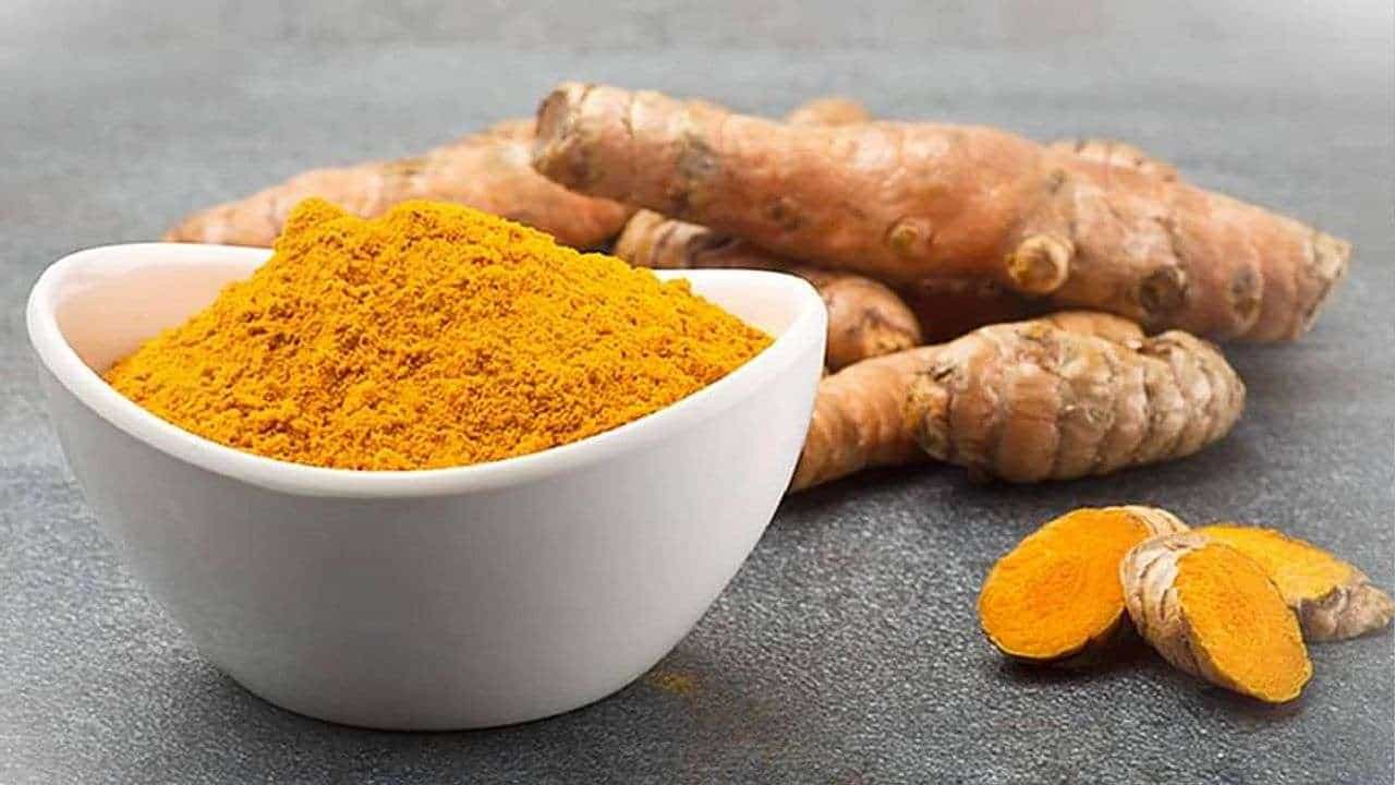 Turmeric Farming: હળદરની આ જાતનો પાક 5થી 6 મહિનામાં થઈ જાય છે તૈયાર, વાવણી કરી કરો અઢળક કમાણી