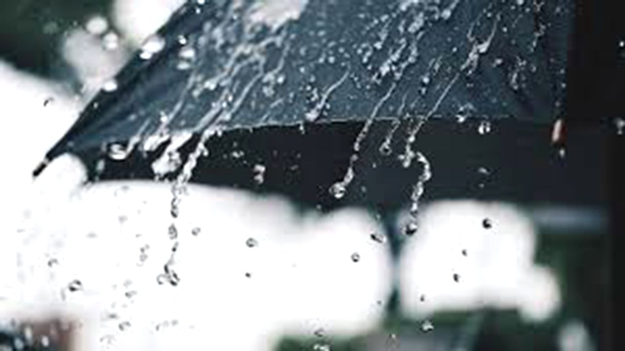 રાજયમાં 128 તાલુકામાં વરસાદ નોંધાયો, આ તાલુકામાં 1 થી 9 ઇંચ સુધી વરસાદ ખાબક્યો, વાંચો કયાં-કેટલા ઇંચ વરસાદ  ?