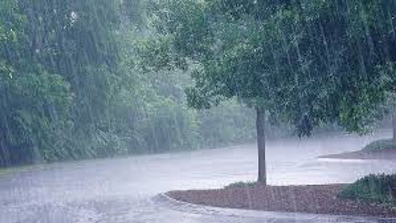 GUJARAT RAIN : છેલ્લા 24 કલાકમાં વડોદરા અને રાપરમાં 4 ઇંચ વરસાદ, ડીસા-વિજયનગર-પાદરામાં પોણા 4 ઇંચ વરસાદ નોંધાયો