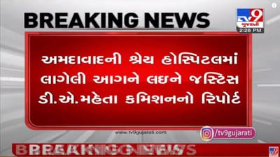 અમદાવાદની શ્રેય હોસ્પિટલમાં લાગેલી આગ મામલે હોસ્પિટલ મેનેજમેન્ટ જવાબદાર, જસ્ટિસ ડી.એ.મહેતા કમિશનનો રિપોર્ટ અમદાવાદની શ્રેય હોસ્પિટલમાં લાગેલી આગ મામલે હોસ્પિટલ મેનેજમેન્ટ જવાબદાર, જસ્ટિસ ડી.એ.મહેતા કમિશનનો રિપોર્ટ