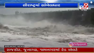 Saurashtra Rain: રાજકોટ, પોરબંદર, જુનાગઢ, ગીરસોમનાથ, અમરેલીમાં ભારે વરસાદ, ડેમો છલકાયા અને રસ્તાઓ પર પાણી ફરી વળ્યા