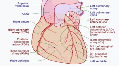 29 સપ્ટેમ્બર એટલે વિશ્વ હૃદય દિવસ, નાની વયે હાર્ટ એટેક આવવાના કિસ્સામાં 20 ટકાનો વધારો