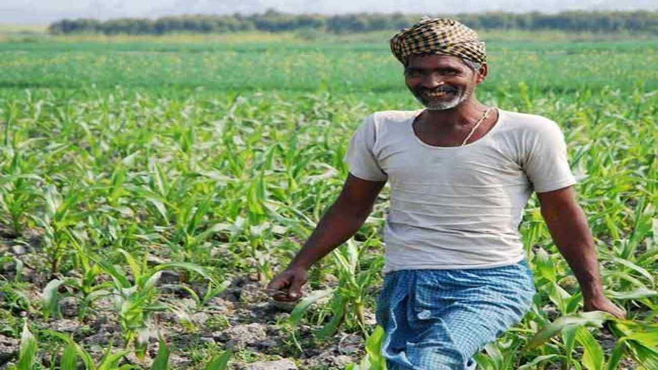 subsidy on fertilizer: જાણો, ખેડૂતોને ખાતર પર સબસિડીનો લાભ કેવી રીતે મળશે ?