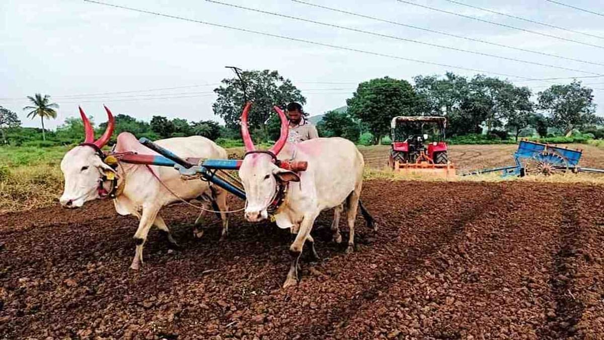 કચરામાંથી કંચન: કૃષિ કચરામાંથી બનશે કાગળ અને ખાતર, વૈજ્ઞાનિકોની મદદથી ખેડૂતો કચરામાંથી પણ કરશે કમાણી