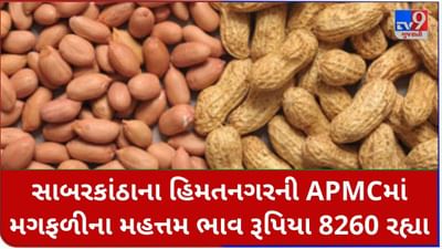 સાબરકાંઠાના હિમતનગરની APMCમાં મગફળીના મહત્તમ ભાવ રૂપિયા 8260 રહ્યા, જાણો જુદા-જુદા પાકના ભાવ