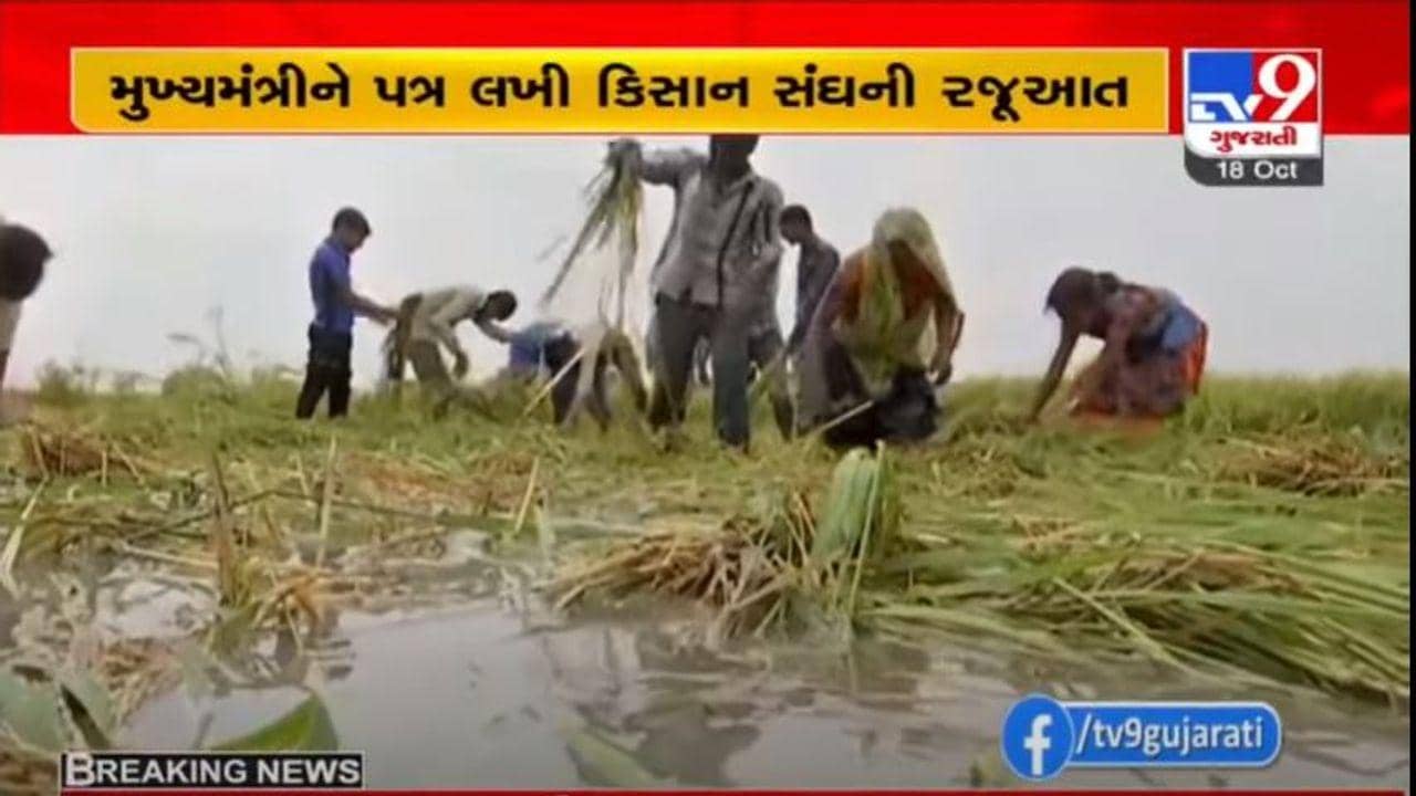 પાક નુકસાની સામે સર્વગ્રાહી પેકેજ જાહેર કરવાની માગ, જાણો કૃષિ પ્રધાન રાઘવજી પટેલે  શું કહ્યું