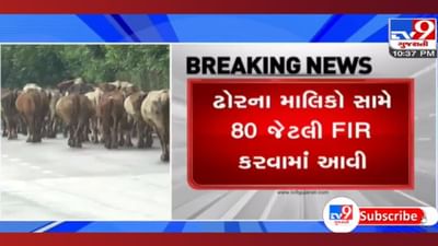 AMC એક્શનમાં: સપ્ટેમ્બર મહિનામાં રખડતા ઢોર મામલે 80 FIR, 202 નોટિસ અને આટલા લાખનો દંડ, જાણો