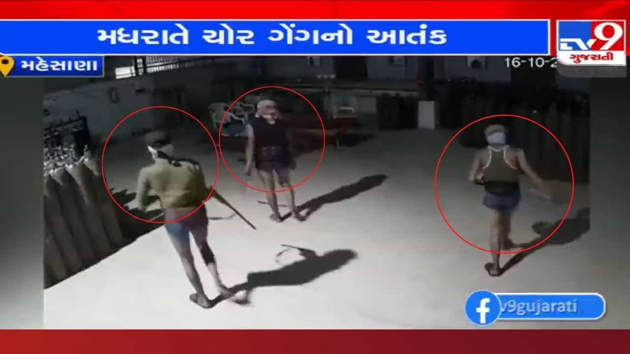 Mehsana: ચડ્ડી બનિયાનધારી ગેંગનો આતંક, એક જ રાતમાં 6 ફેક્ટરીઓમાં કરી તસ્કરી, જુઓ CCTV દ્રશ્યો