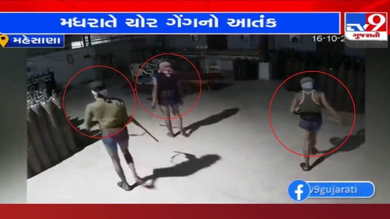 Mehsana: ચડ્ડી બનિયાનધારી ગેંગનો આતંક, એક જ રાતમાં 6 ફેક્ટરીઓમાં કરી તસ્કરી, જુઓ CCTV દ્રશ્યો Mehsana: ચડ્ડી બનિયાનધારી ગેંગનો આતંક, એક જ રાતમાં 6 ફેક્ટરીઓમાં કરી તસ્કરી, જુઓ CCTV દ્રશ્યો