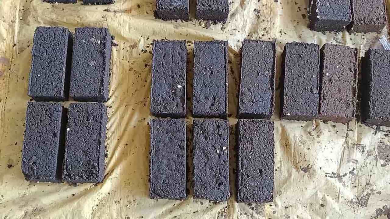 હવે ગાય અને ભેંસ પણ ખાશે ખાસ કેન્ડી ચોકલેટ, પોષક તત્વોથી ભરપૂર આ ચોકલેટથી દૂધના ઉત્પાદનમાં થશે વધારો