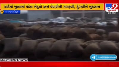 Rajkot: કમોસમી વરસાદની ભારે અસર, જેતપુર APMC માર્કેટ યાર્ડમાં રહેલો પાક પલળી જતા નુકસાન