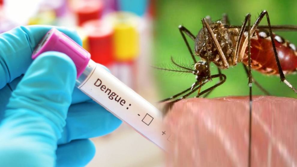 Dengue in UP : લખનૌમાં ડેન્ગ્યુએ મચાવ્યો હાહાકાર, દર્દીઓથી ઉભરાઇ હોસ્પિટલો, હવે ઘરે ઘરે થશે તપાસ