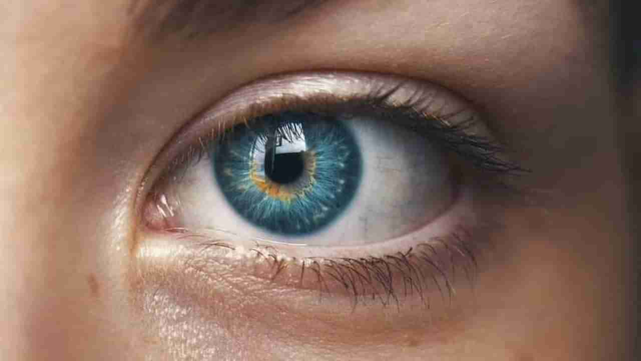 ઘરે જ આંખો કેવી રીતે ચકાસવી? જો આ વસ્તુ જોઈ શકો છો, તો આંખો બરાબર છે! જાણો નિષ્ણાંત શું કહે છે