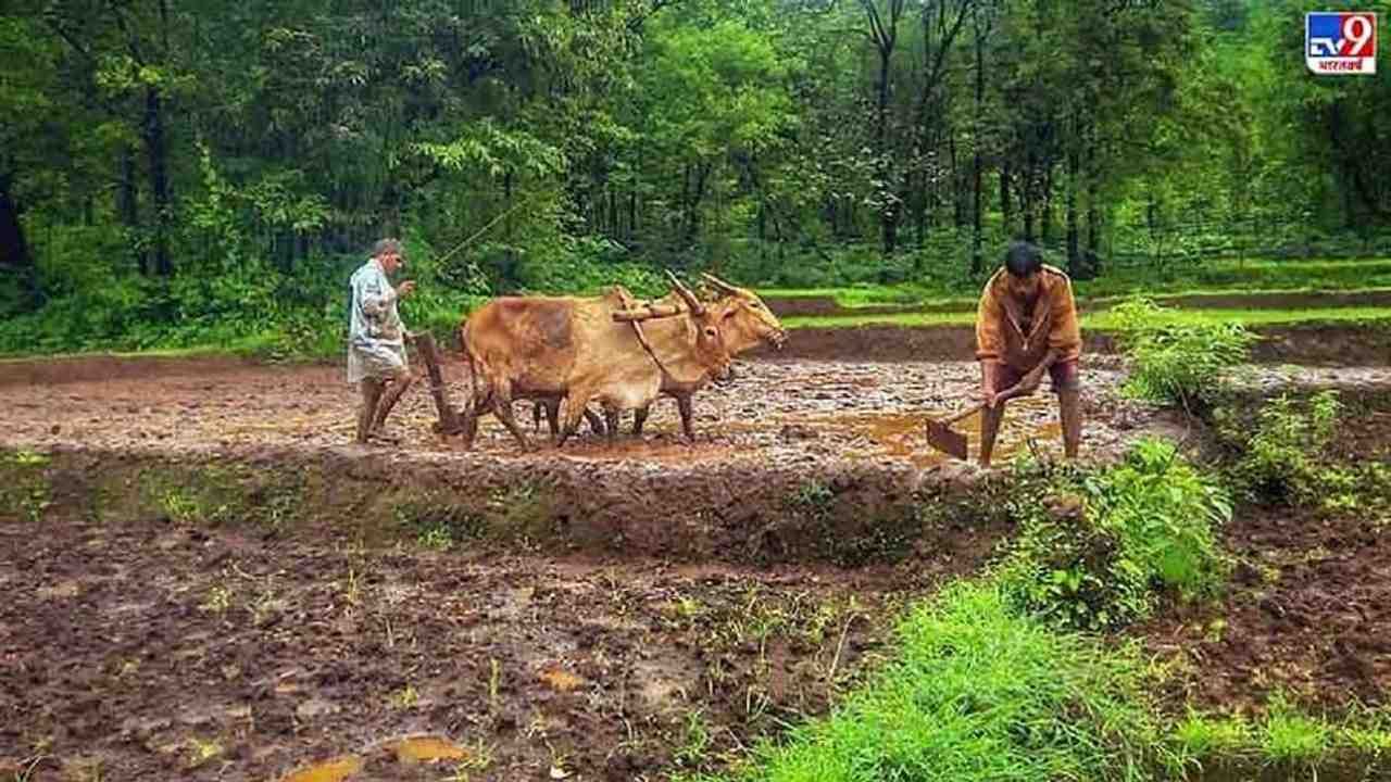 ખેડૂતોની આવક બમણી કરી રહ્યું છે સંકલિત ખેતી મોડલ, ICAR એ તૈયાર કર્યા 31 પ્રોજેક્ટ