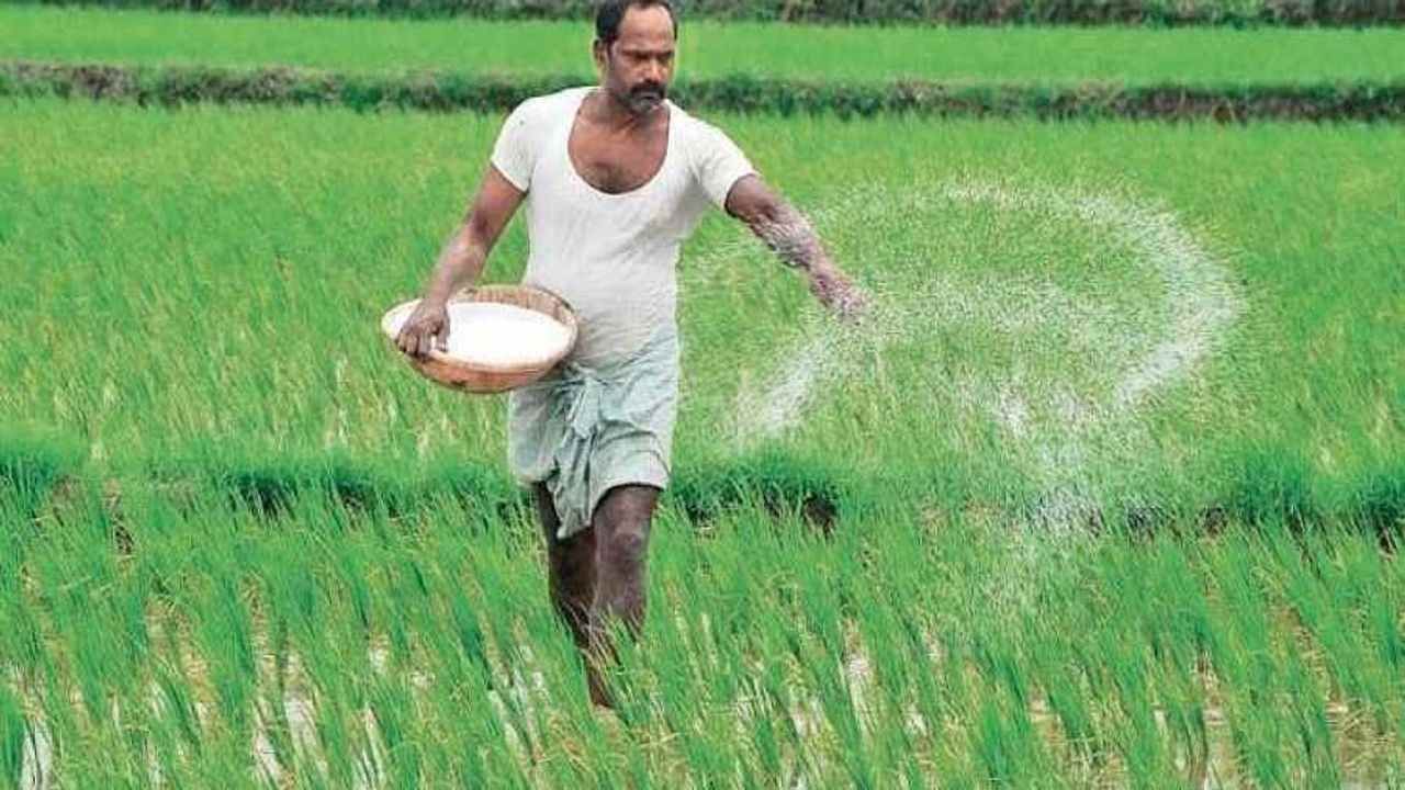 Surat : ખેડૂતો માટે પડ્યા પર પાટુ : રાસાયણિક ખાતરના ભાવમાં વધારો થતા હાલત કફોડી