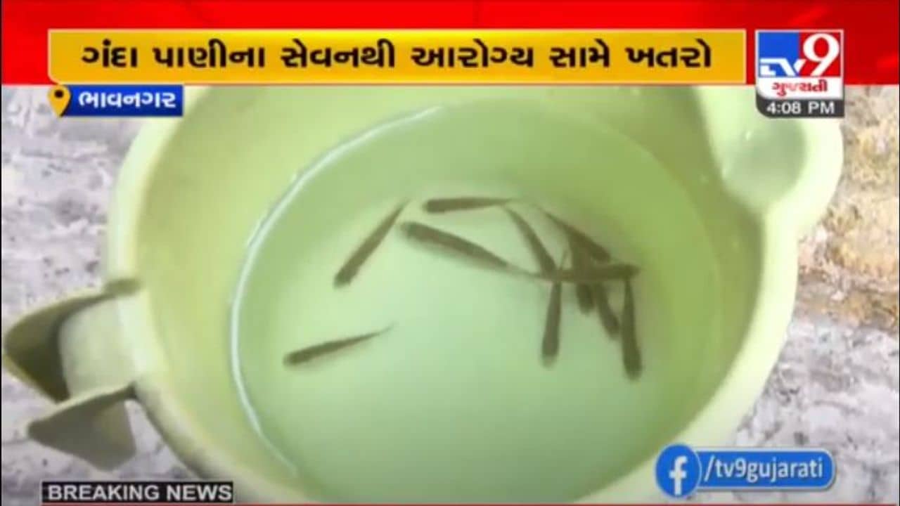 ભાવનગરમાં નળમાં પીવાના પાણીની સાથે માછલીઓ પણ નીકળી આવી, જુઓ વિડીયો
