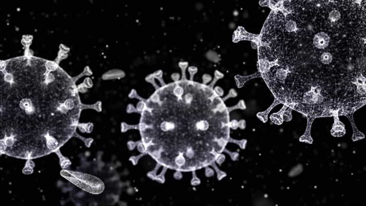 GUJARAT CORONA UPDATE : રાજ્યમાં 13 ઓક્ટોબરે કોરોનાના નવા 26 કેસ નોંધાયા, 20 દર્દીઓ સાજા થયા, એક પણ મૃત્યુ નહી