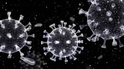 GUJARAT CORONA UPDATE : રાજ્યમાં 13 ઓક્ટોબરે કોરોનાના નવા 26 કેસ નોંધાયા, 20 દર્દીઓ સાજા થયા, એક પણ મૃત્યુ નહી