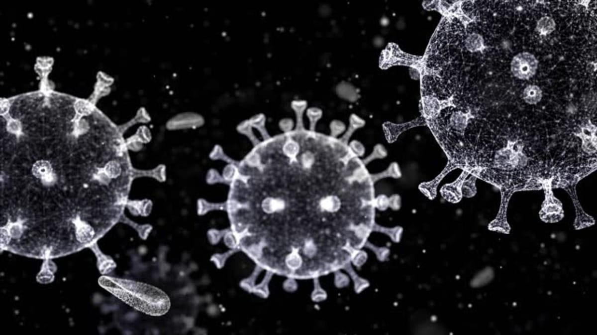 GUJARAT CORONA UPDATE : રાજ્યમાં 13 ઓક્ટોબરે કોરોનાના નવા 26 કેસ નોંધાયા, 20 દર્દીઓ સાજા થયા, એક પણ મૃત્યુ નહી