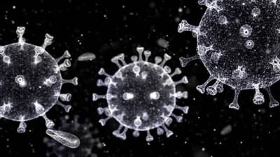 GUJARAT CORONA UPDATE : રાજ્યમાં 13 ઓક્ટોબરે કોરોનાના નવા 26 કેસ નોંધાયા, 20 દર્દીઓ સાજા થયા, એક પણ મૃત્યુ નહી