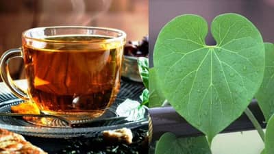 Health Tips : ડેન્ગ્યુથી કમળા સુધી, ગિલોય છે આ રોગો માટે ફાયદાકારક, જાણો ઉપયોગ કરવાની રીત