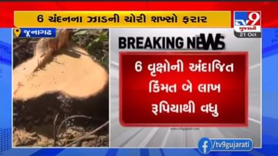 ગિરનાર જંગલના પ્રતિબંધિત વિસ્તારમાંથી ચંદનના 6 વૃક્ષની ચોરી, તસ્કરોએ થડમાંથી વૃક્ષો કાપ્યા