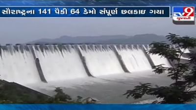 Monsoon 2021: તોફાની વરસાદમાં એક જ દિવસમાં વધુ 10 ડેમો ઓવરફ્લો, જાણો કયા વિસ્તારમાં ડેમોની શું સ્થિતિ