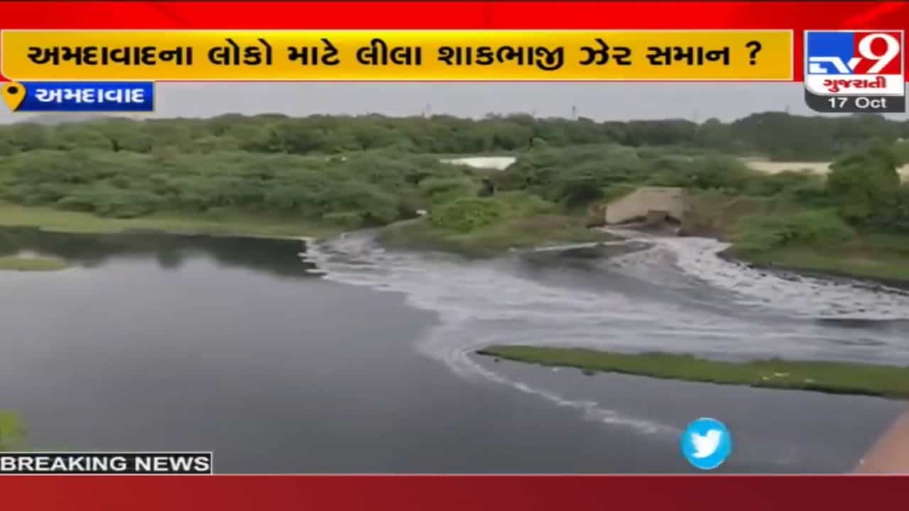 અમદાવાદીઓ ઝેરી શાકભાજી આરોગતા પહેલા ચેતી જજો! જાણો સાબરમતીના કેમિકલયુક્ત પાણીનો આ અહેવાલ