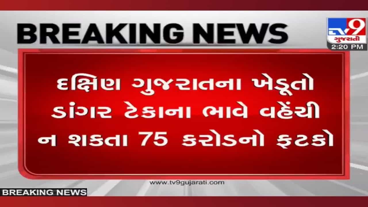 Surat: ડાંગરના પોષણક્ષમ ભાવ, છતા નુકસાન! દક્ષિણ ગુજરાતના ખેડૂતો ટેકાના ભાવે ડાંગર વેચી ન શકતા 75 કરોડનો ફટકો