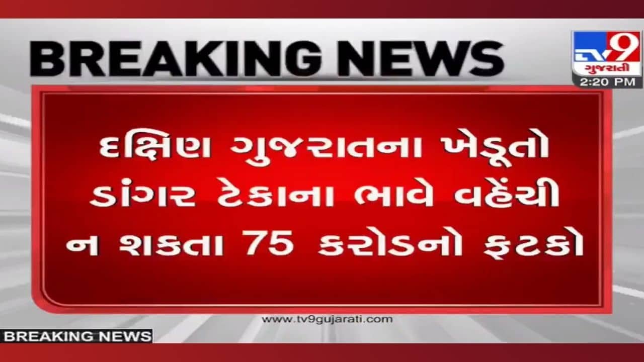 Surat: ડાંગરના પોષણક્ષમ ભાવ, છતા નુકસાન! દક્ષિણ ગુજરાતના ખેડૂતો ટેકાના ભાવે ડાંગર વેચી ન શકતા 75 કરોડનો ફટકો
