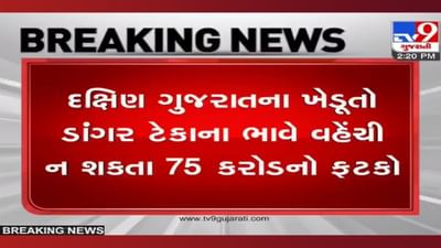 Surat: ડાંગરના પોષણક્ષમ ભાવ, છતા નુકસાન! દક્ષિણ ગુજરાતના ખેડૂતો ટેકાના ભાવે ડાંગર વેચી ન શકતા 75 કરોડનો ફટકો