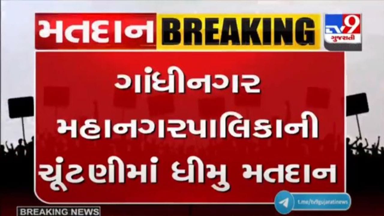ગાંધીનગર મહાનગરપાલિકાની ચૂંટણીમાં બપોર સુધીમાં 37 ટકાથી વધુ મતદાન થયું ગાંધીનગર મહાનગરપાલિકાની ચૂંટણીમાં બપોર સુધીમાં 37 ટકાથી વધુ મતદાન થયું