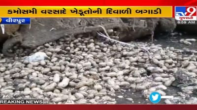 Rajkot: વિરપુરમાં કમોસમી વરસાદથી ખેડૂતો-વેપારીઓની દિવાળી બગડી, ભારે નુક્સાનની ભીતિ Rajkot: વિરપુરમાં કમોસમી વરસાદથી ખેડૂતો-વેપારીઓની દિવાળી બગડી, ભારે નુક્સાનની ભીતિ