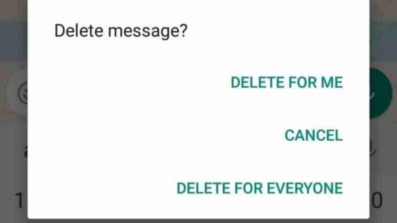 WhatsApp Tricks : ટાઇમ લિમીટ પૂર્ણ થયા બાદ પણ મેસેજને Delete for everyone કરી શકો છો, જાણો સ્ટેપ્સ