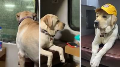 Viral Video : આ ડોગીએ ટ્રેનમાં કરી મુસાફરી, વીડિયો શેર કરીને લખ્યુ મુંબઇથી ભુવનેશ્વર સુધીની સફર